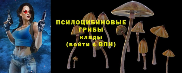 гашик Арсеньев