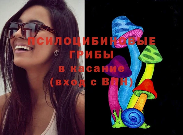амф Аркадак