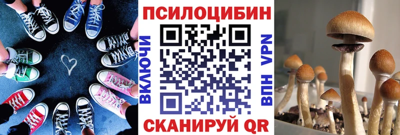что такое   Карталы  Псилоцибиновые грибы ЛСД 